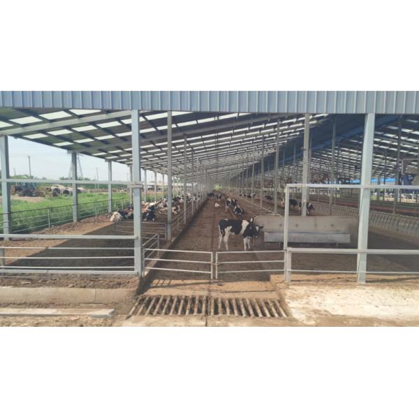 Galvanized anti-corrosion large span steel structure aquaculture agricultural building