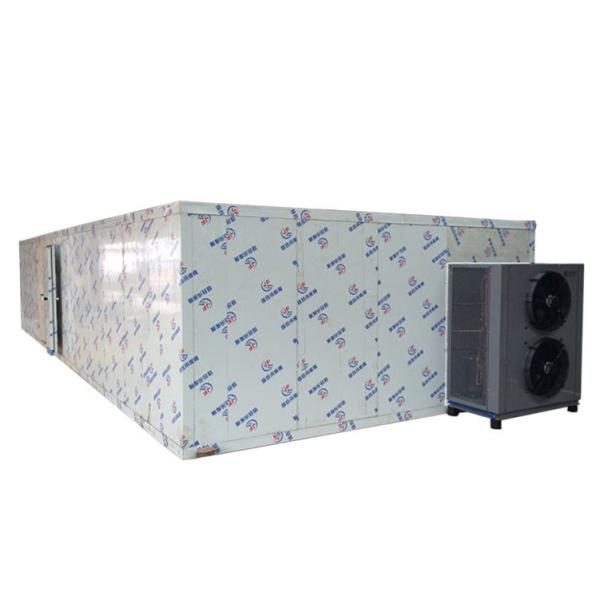 乾燥されたブドウ1500 T/Dの脱水機のフルーツの加工ライン