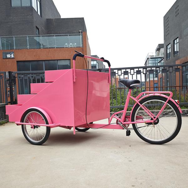 120KG Tricycle Food Cart for Fruit Vending Inside Equipments As Your Requirement