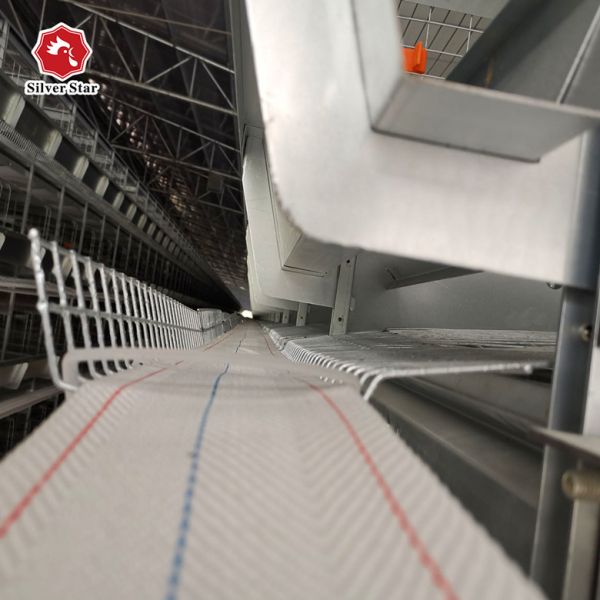 Poultry Cage/cages for Laying Hens Used/chicken Breeding Equipment