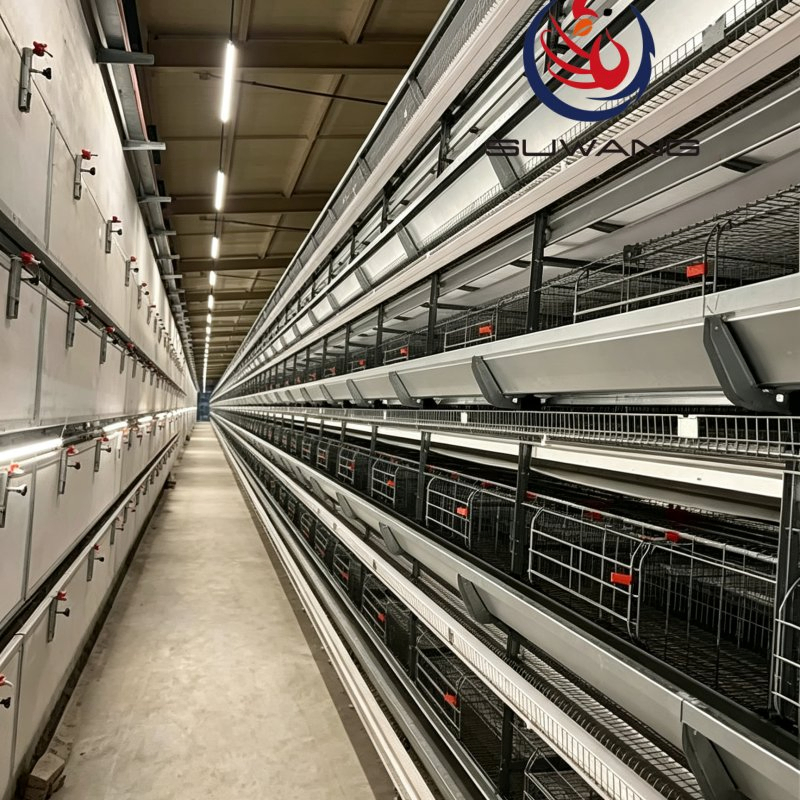 Galvanized Frame Egg Collection Cage H Type Chicken Cage For Poultry Farms
