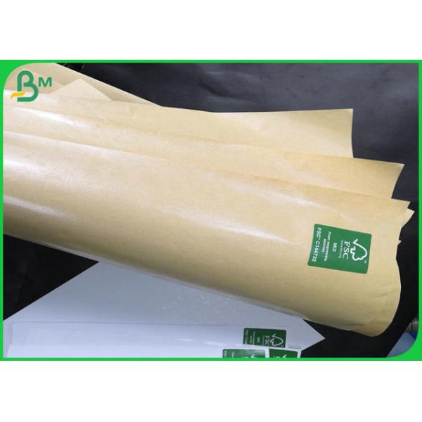 сторона PE 100gsm + 10gsm одиночная покрыла крен устойчивого качества еды масла бумажный