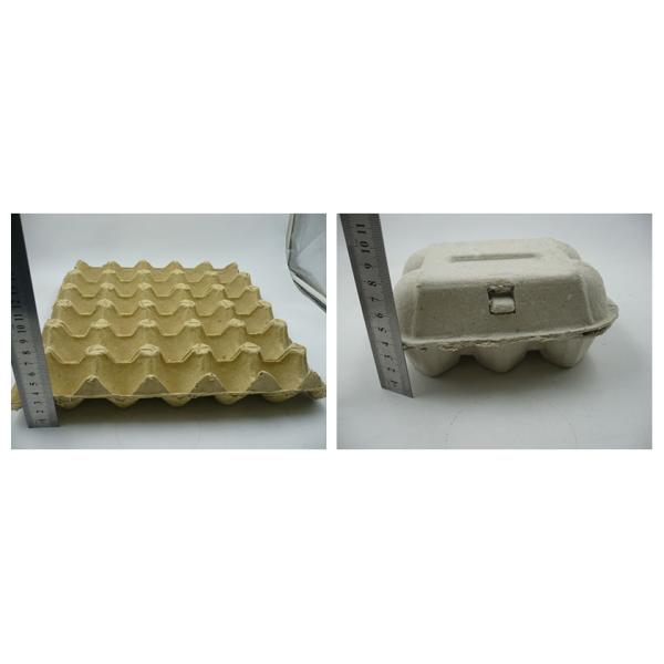 Automatic Pulp Egg Tray Moulding Machine Egg Carton Making Machine