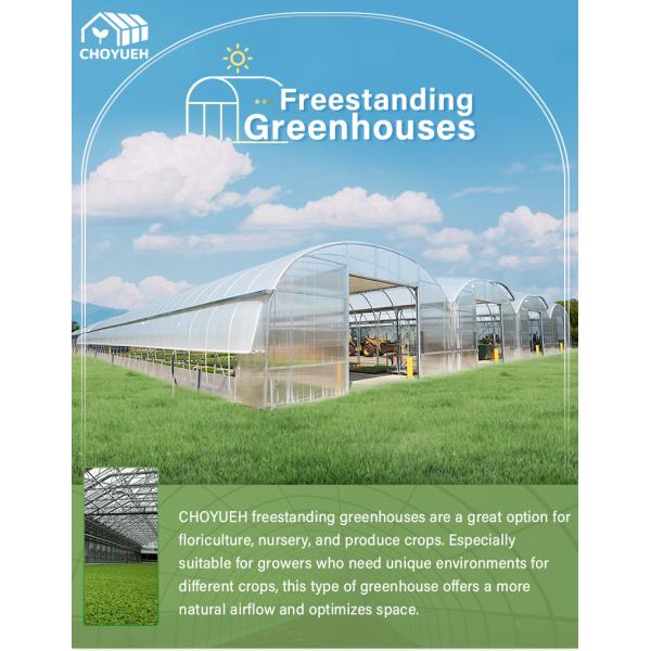 Hot Dip Glavanized Steel Polytunnel Greenhouse 10X30m Single Span