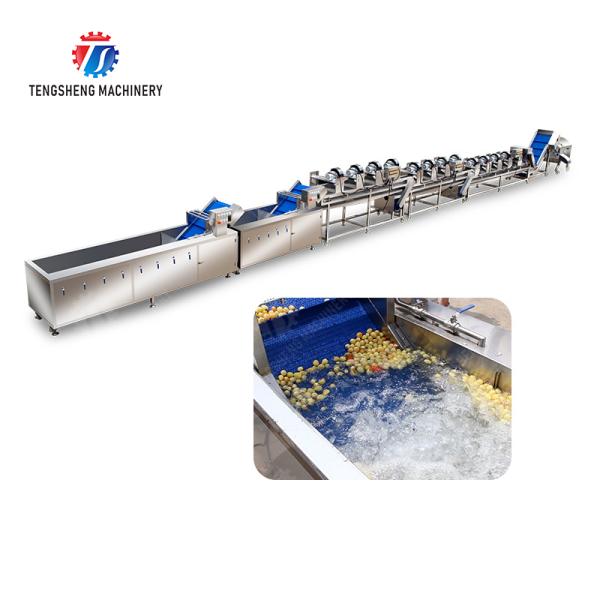 Orange Potato  Potatoes round tuber crops Carrots and longitudinal root vegetables Onions Cabbage varieties Fruiting veget Large-scale fruit and vegetable washing drying and cutting production line