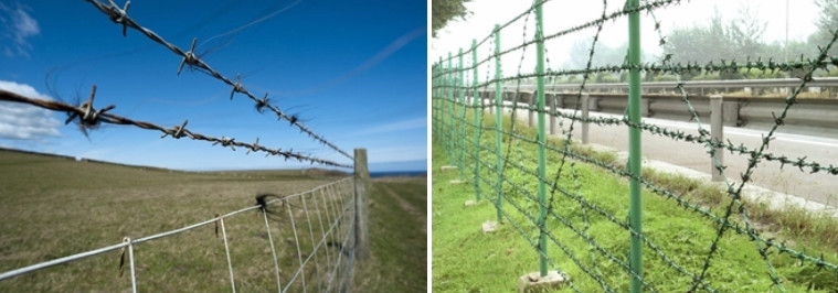 Извива двойника колючей проволоки 2,0 Mm Electro стального защитный полно гальванизировал