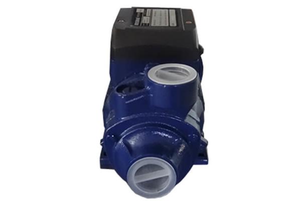 Bomba de agua potável QB de 2850 RPM 70 0,55 quilowatts 0,75 HP para a irrigação do jardim