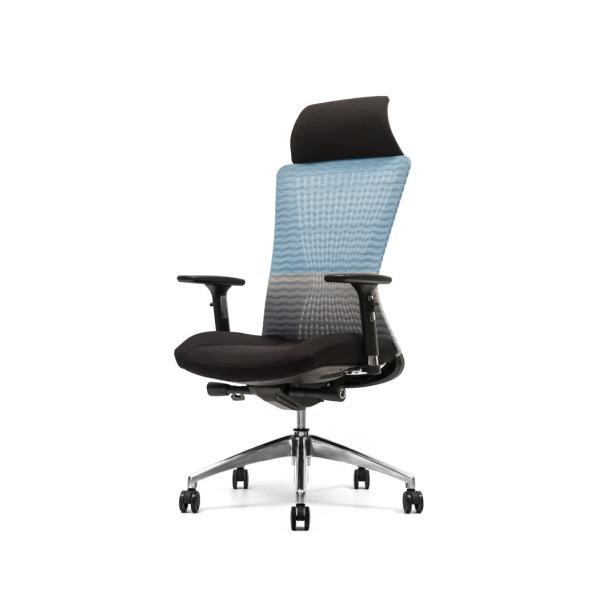 Mousse de Mesh Office Chair DIOUS Moded de dos du bureau 90-115d de PC haute