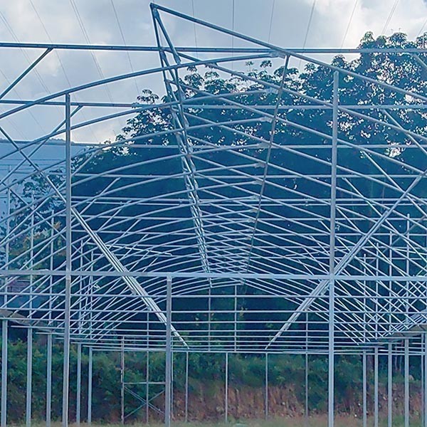 Invernadero grande galvanizado y sumergido en caliente con cubierta de plástico resistente a los rayos UV
