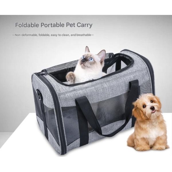 Large Cute Pet Supplies Unisex Indoor Outdoor Gear for Active Pets Featuring Comfortable Collars Leashes and Carriers