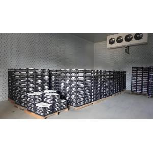 Descongelamento Elétrico Congelamento Rápido Armazenamento a Frio Sala de Frio Com Bitzer / Compressor Copeland