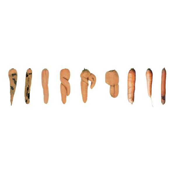 HWFT Carrot Sorting Machine AI RGB Carrot Sorter PLC Control