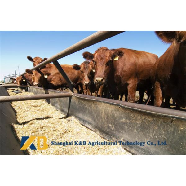 Rich Protein Fish Meal Powder / Beef Cattle Feed Ensure Animals Grow Faster
