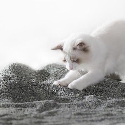 Easy Scooping Ore Cat Litter Grey Dustless Kitty Litter Natural Materials