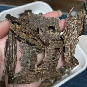 Pure OUD Agarwood raw material ideal for crafting high end perfumes incense and essential oils in global aromatic markets