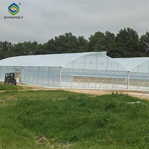 Serre hydroponique commerciale personnalisable Tomate Serre Faible entretien