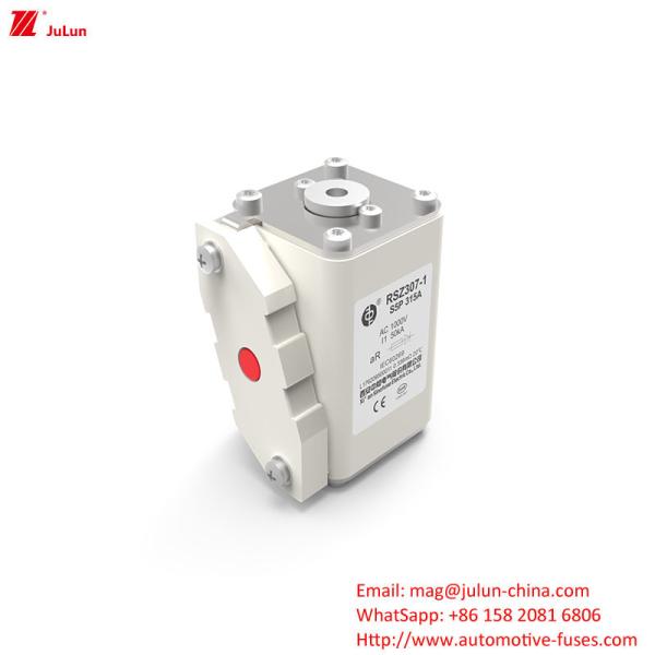 Automotive Battery Charger Electric Vehicle Fuse 1000V AC With Bolt On Terminals