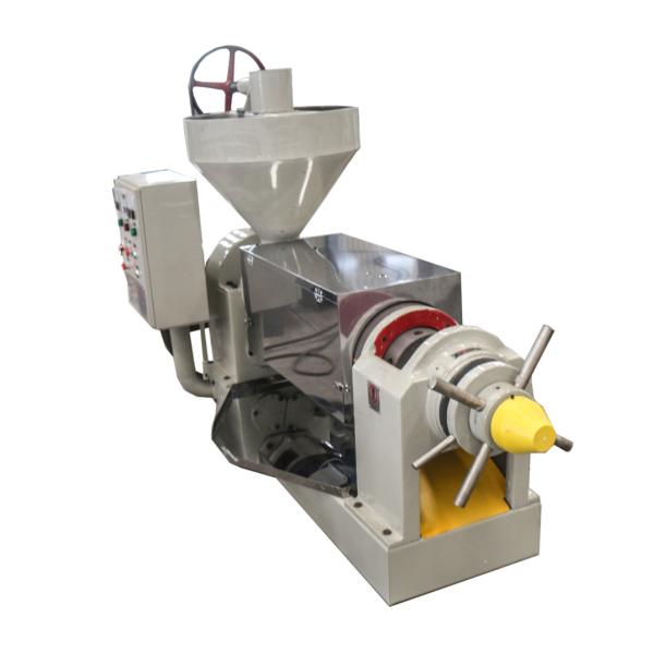 Automaticlly Control Sunflower Cold Oil Press Machine With Electrical Cabinet Control