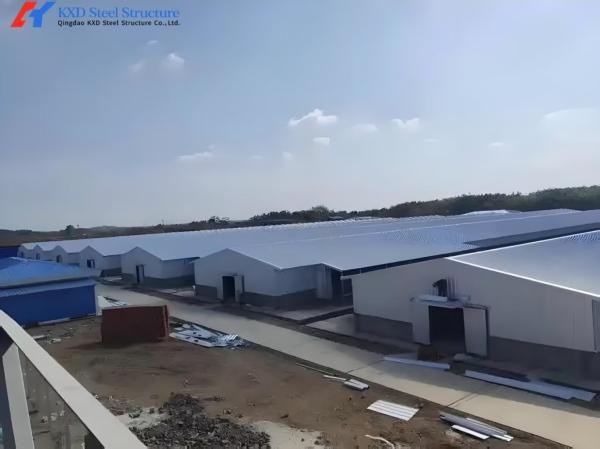 Fully Automatic Galvanized Poultry Farm Layer Cage with Feeding System