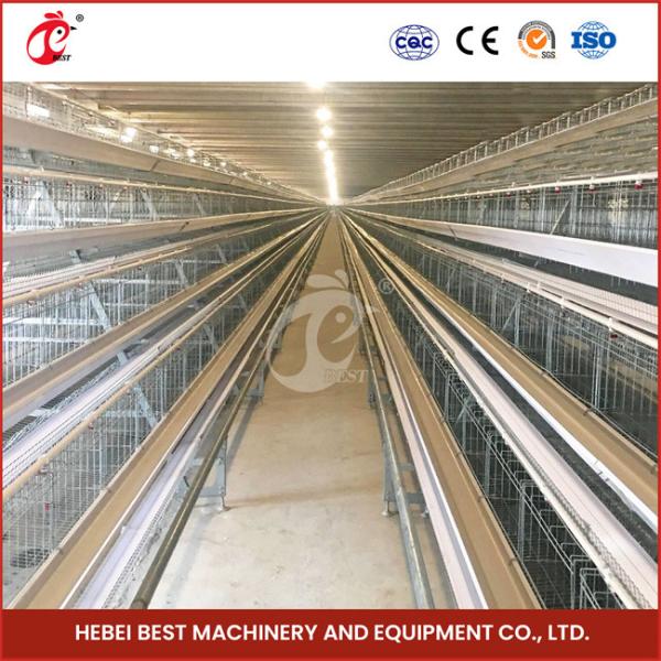 6 Tiers Chicken Egg Laying Cages Capacity 90/96/120/128/160/200 Star