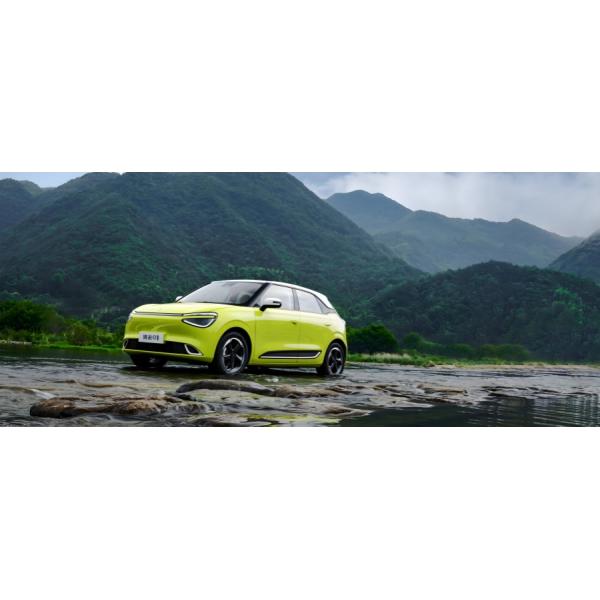 New Energy 2024 Dongfeng Nammi 01 Electric EV Cars 330Km 430Km