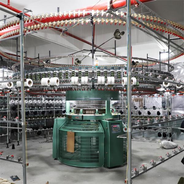 Striped фуфайка вяжет ткань, пряжу 320gsm покрасила органическую французскую ткань Терри