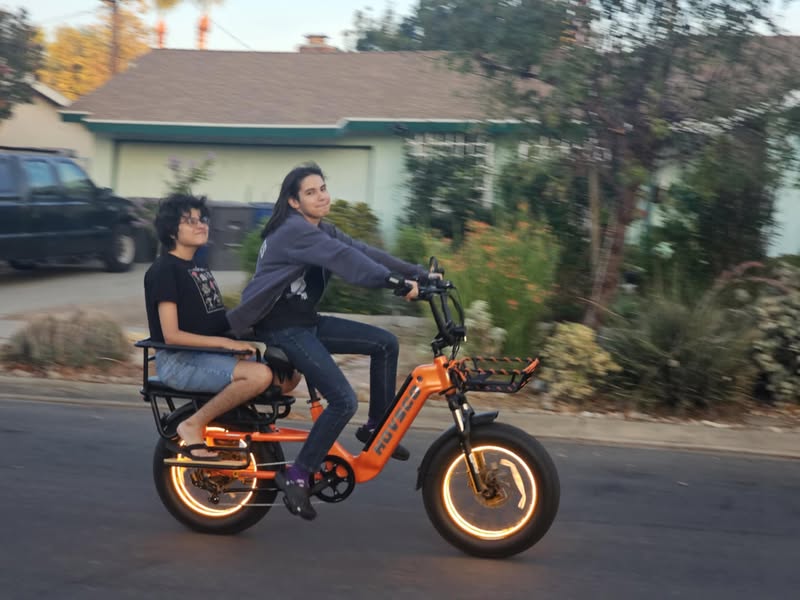 Family 48V 250W Lithium Battery Disc Brake Aluminum Alloy Frame Electric Cargo Bike Front Box Long Tail Brushless Motor 7-Speed