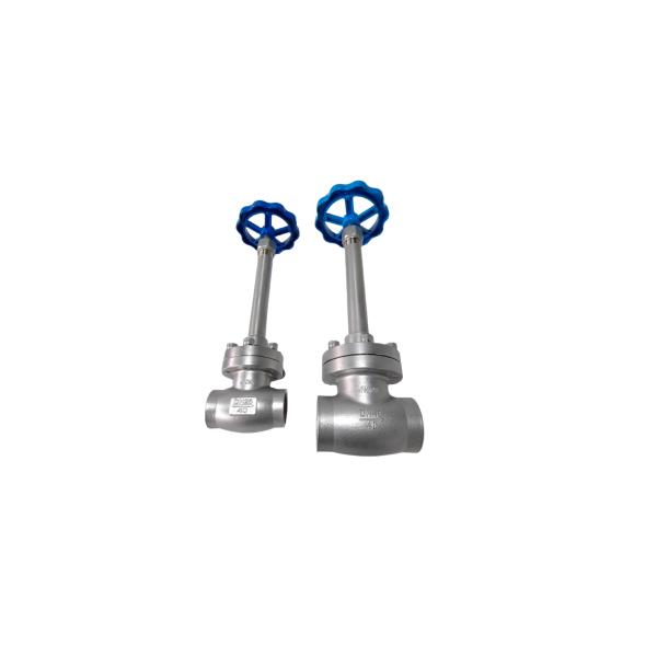 Medium LNG LIN LOX LAR LCO2 Pressure PN40 Cryogenic Globe Valve With Long Stem