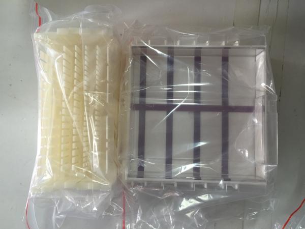 3/6/8/11 Sample Volume Agarose Gel Electrophoresis Equipment Science Lab Equipment  Jy-spct