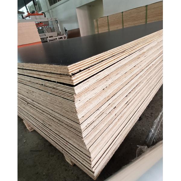 Graphic Design Baltic Birch Plywood 1.2mm 2mm 2.4mm Thin Plywood Sheet