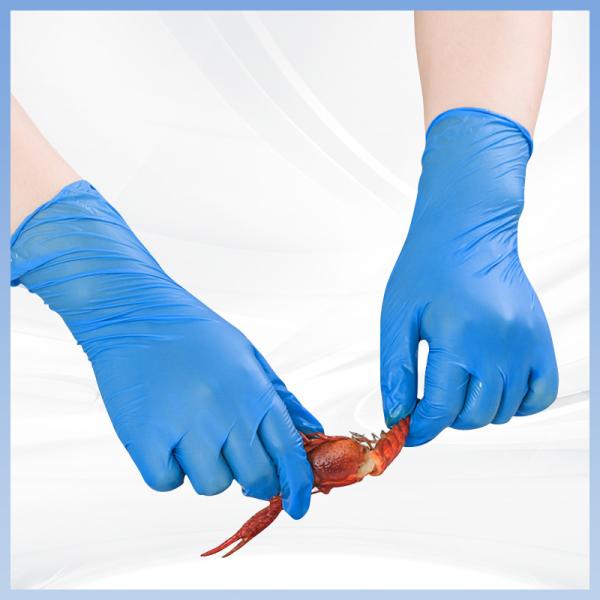 Blue PVC Disposable Examination Gloves Individually Packaged