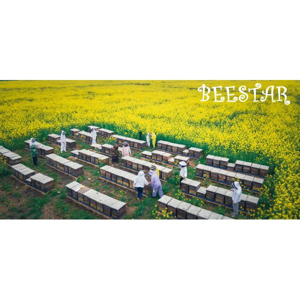 Цветок кукурузы смешанный сырой пчелиной пыльцы большие гранулы сырой пчелиный продукт