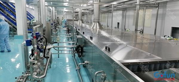 Automatic Mango Juice Processing Machine Production Line 1t/H - 20t/H