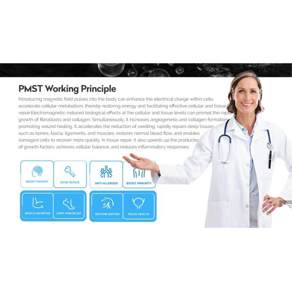 Portable Magnetic Therapy Loop High Intensity Physio Magnetic  Machine