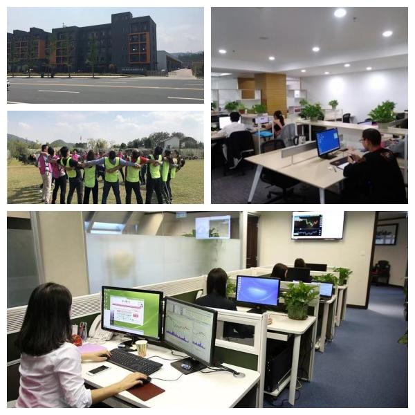 OE NO. Fec1283008 Tongli Tl875 Truck Clutch Plate with Fec170001-3 Release Bearing