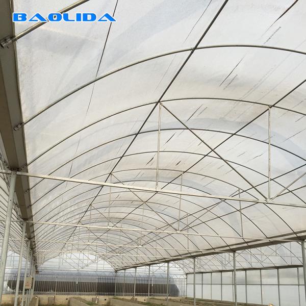 Estufa comercial do período do jardim multi para o desempenho estável vegetal