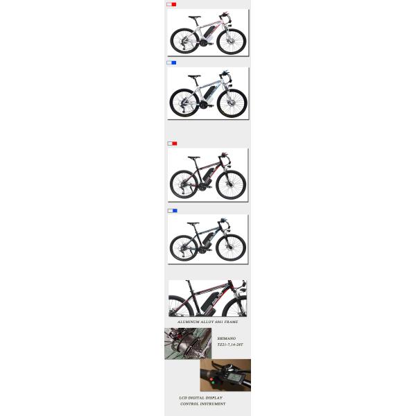 C6 Popular Electric Bikes Aluminum Alloy Frame With CE Certificate