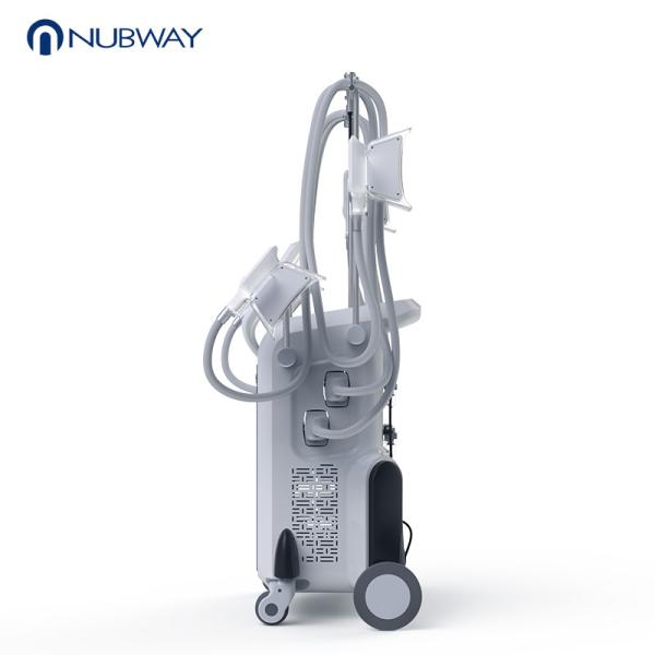 OEM/ODM Newest cryolipolysis 4 handles beauty machines cool shape fat freezing lipo cellulite