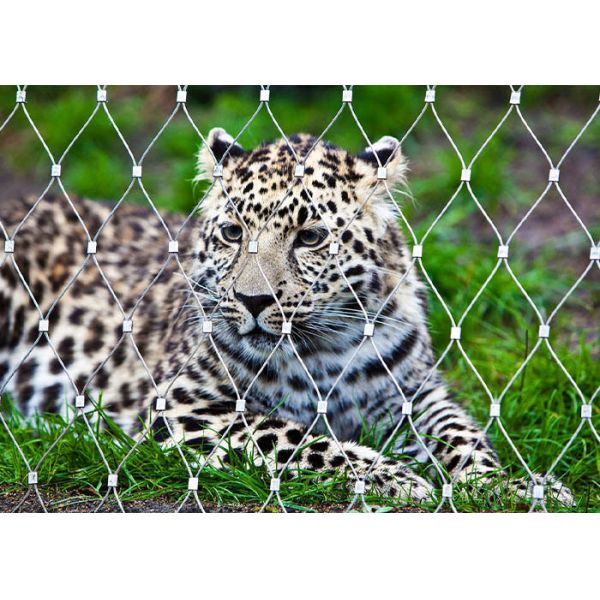Stainless Steel Rope Mesh Zoo Fencing – High Safety and Aesthetically Pleasing