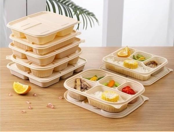Salade emballage alimentaire biodégradable avec emballage en carton personnalisé