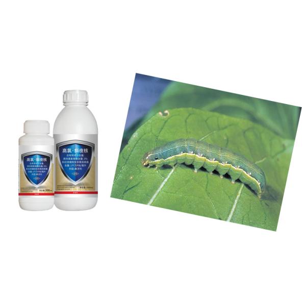 Low Toxic Biological Cabbage Root Fly Insecticide On Vegetables 3% Beta Cypermethrin