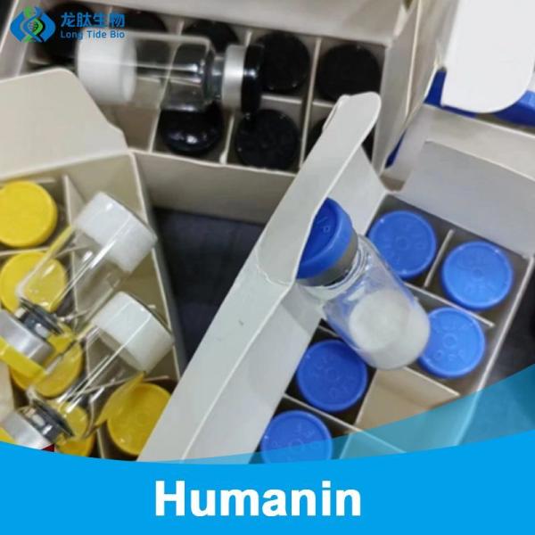                    High Purity Hot Sales Humanin Human Peptide Customized 330936-69-1             