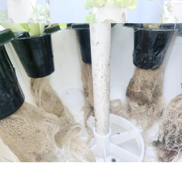 Indoor Outdoor Hydroponic Pineapple Tower Grow Systems Garden Agricultural Soilless Culture Vertical Hydroponic Grow Tower