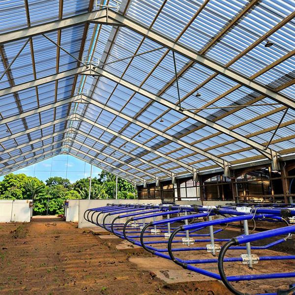 Prefab Steel Farm Building Light Weight Bolt Connection
