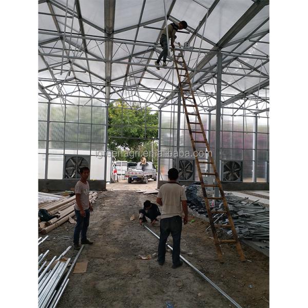Customizable Commercial Polycarbonate Greenhouse High Shoulder For Agriculture