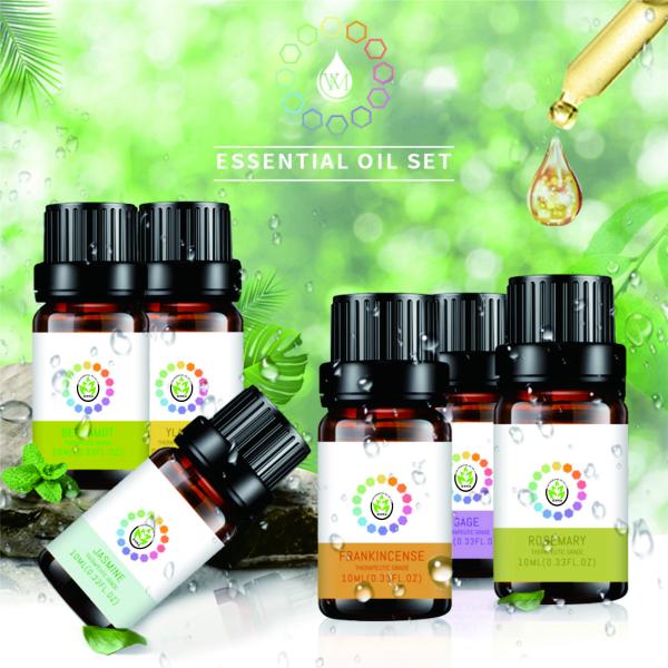 Natural Diffuser Aromatherapy Massage Oil Aroma Essential Oils Gift Set With 14 Fragrance