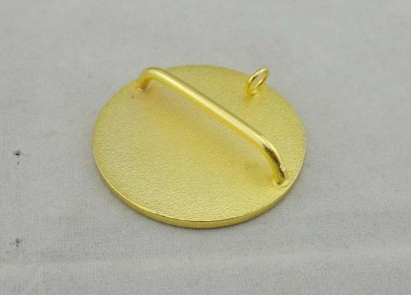 Zinc Alloy Lodge Imitation Hard Enamel Pin / Lapel Pin Badges With Gold Plating