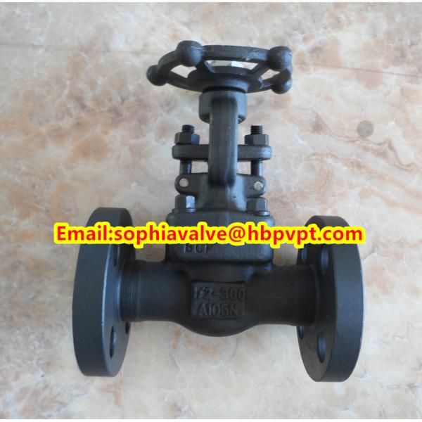 ANSI A105N forged gate valve