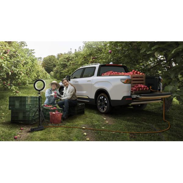 Commercial chinois Full Electric Pickup Car EV Charge rapide 4 roues motrices RADAR RD6