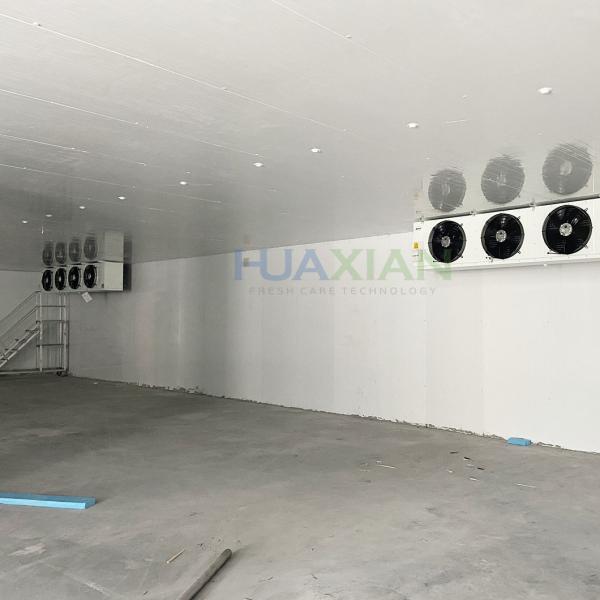Commercial Vegetable and Fruit Condensing Unit Cold Room and Walk in Freezer